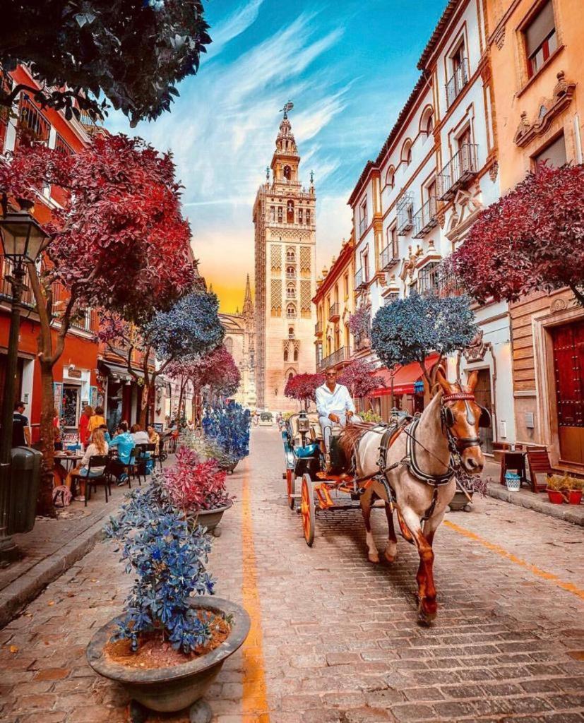 City Center Sevilla セビリア エクステリア 写真